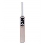 GM Icon Super Star Kashmir Willow Cricket Bat